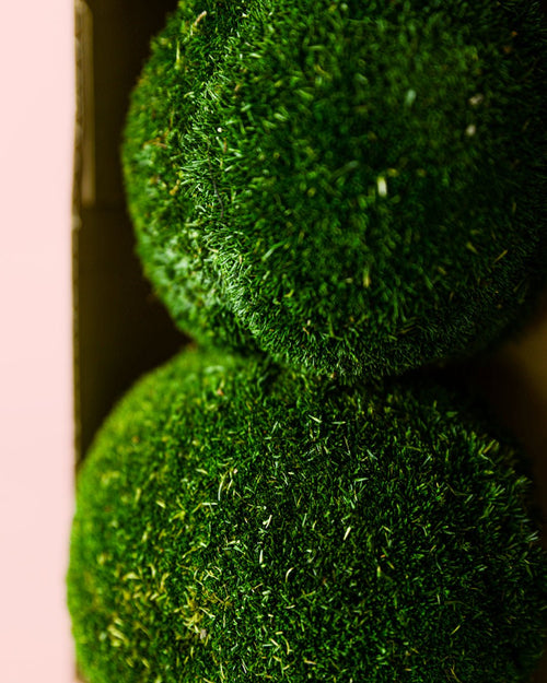 Bolas de Musgo Preservado - Pur Plant