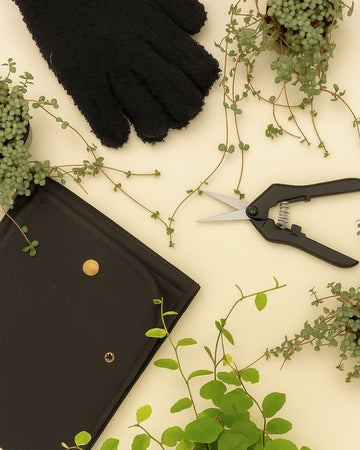 Botanic Tools – Limpia, Poda y Trasplanta