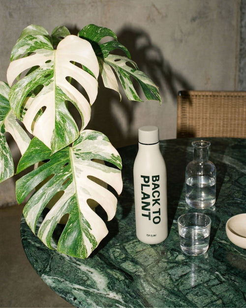 botella_termica_back_to_plant_500ml_con_plantas