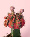 Cactus Gymnocalycium Japan Variegada Mini - Pur Plant