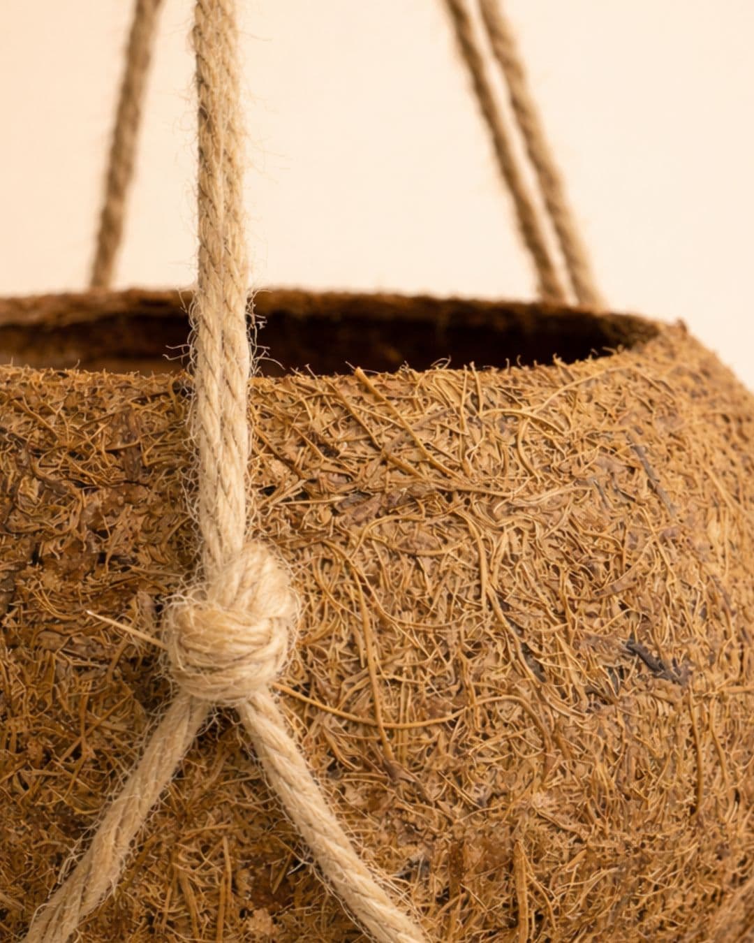 Coco Hang – Maceta Colgante de Coco 12 cm - Pur Plant