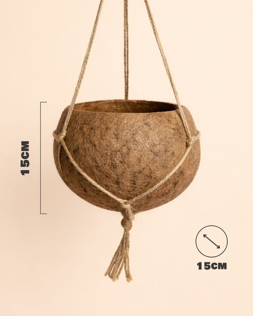 Coco Hang – Maceta Colgante de Coco 12 cm - Pur Plant