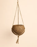 Coco Hang – Maceta Colgante de Coco 12 cm