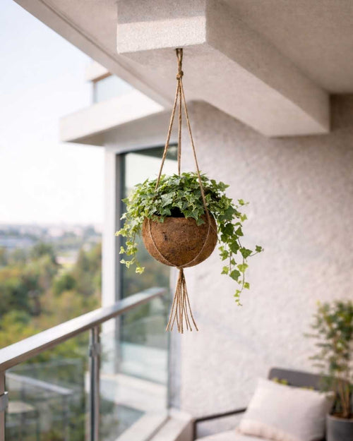 Coco Hang – Maceta Colgante de Coco 15 cm - Pur Plant