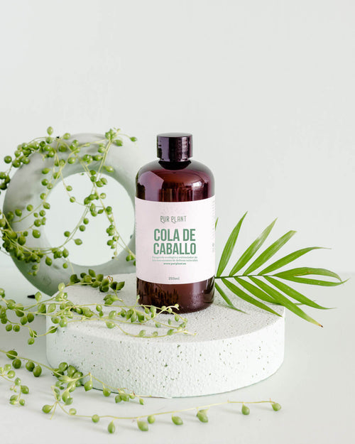 Cola de Caballo – Orgánico 250ml - Pur Plant
