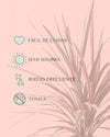 Cordyline L - Pur Plant
