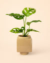 Cube – Mini Maceta Cerámica Beige 9 cm - Pur Plant