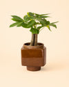 Cube – Mini Maceta Cerámica Marrón 9 cm - Pur Plant