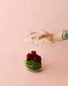 Cupido – Rosas Preservadas Mini Bol - Pur Plant