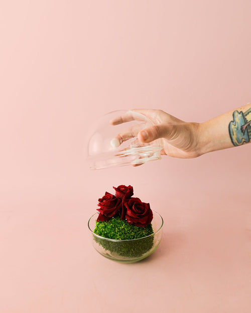 Cupido – Rosas Preservadas Mini Bol - Pur Plant