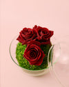 Cupido – Rosas Preservadas Mini Bol - Pur Plant