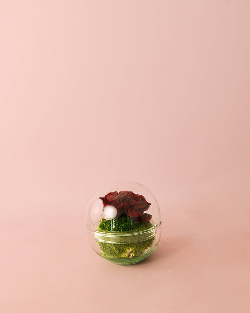Cupido – Rosas Preservadas Mini Bol - Pur Plant