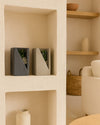 deco-suculenta-contexto