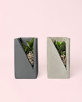 Duo Decorativo – Suculentas