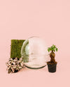 Domo Terrario Bol 20×20 cm - Pur Plant