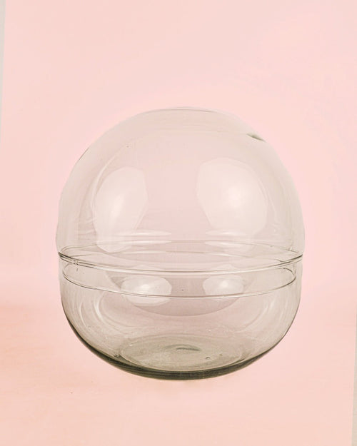 Domo Terrario Bol 28×28 cm - Pur Plant
