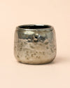 Elegans Silver – Mini Maceta Plateada 6 cm - Pur Plant