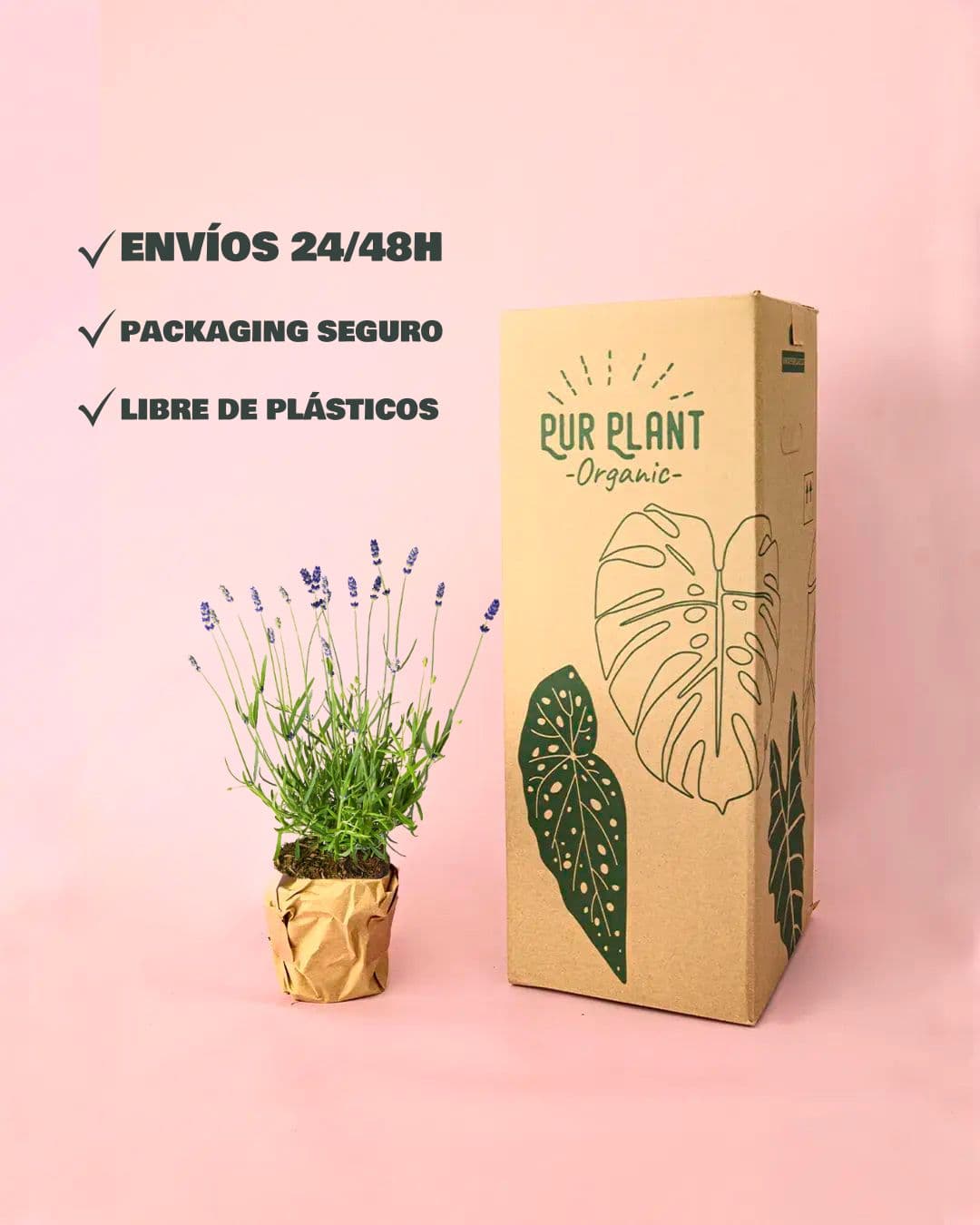 envio packaging lavanda