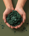Espirulina 500 mg Ecológica, 300 tabletas