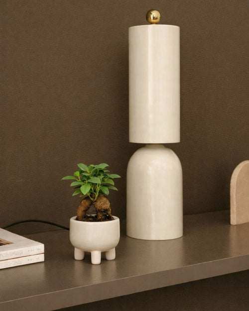 Ficus Microcarpa Mini - Pur Plant