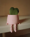 Gift Set Hoya Kerrii Doble + Happy Pot Rosa - Pur Plant