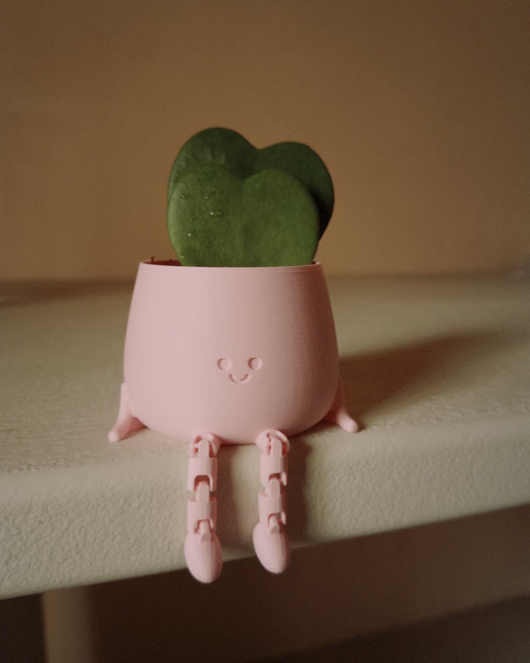 Gift Set Hoya Kerrii Doble + Happy Pot Rosa - Pur Plant