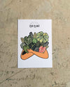 Gift Set Lumen – Pilea Peperomioides - Pur Plant
