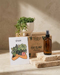 Gift Set Nido – Peperomia Prostrata