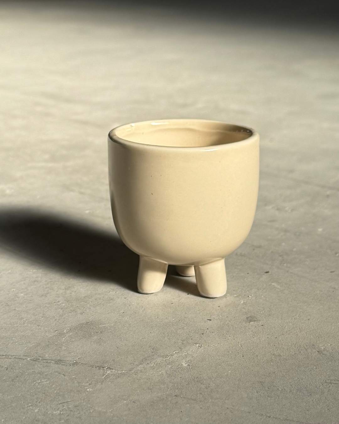 Gift Set Perla – Senecio Rowleyanus Mini - Pur Plant