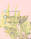 Golden Pothos M - Pur Plant