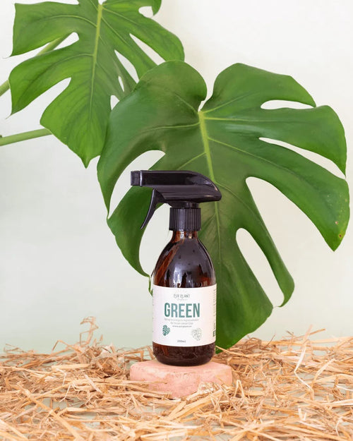 Green – Spray Reparador de Hojas Amarillas 250ml - Pur Plant