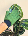 Guantes para limpiar hojas - Pur Plant