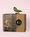 Happy Box – Kit Regalo con Monstera Adasonii - Pur Plant