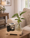 Happy Box – Kit Regalo con Monstera Adasonii - Pur Plant