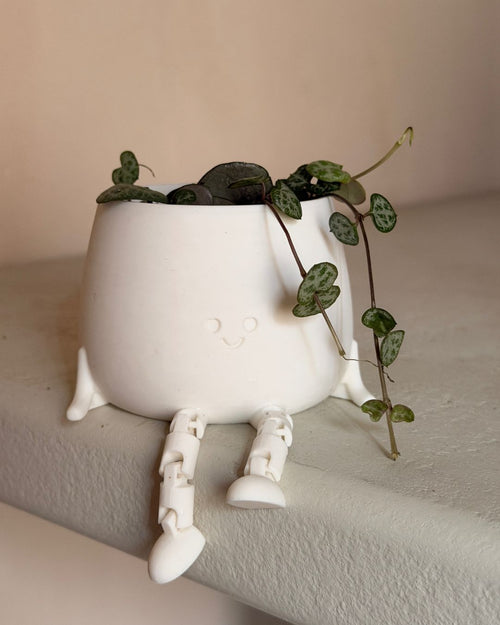 Gift Set Ceropegia Woodii + Happy Pot Blanca