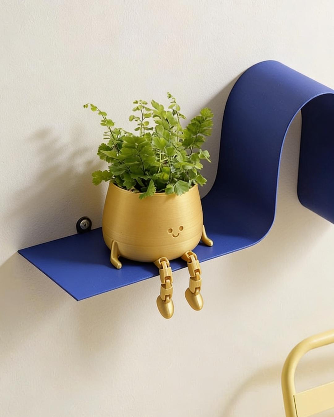 happy-pot-golden-helecho-context
