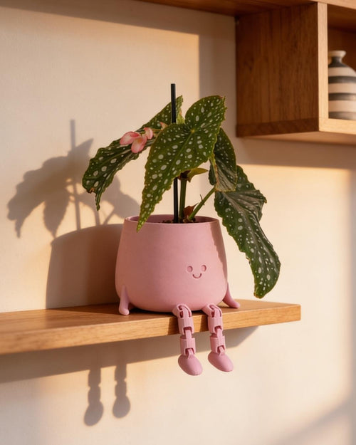 happy-pot-pink-rosa-context