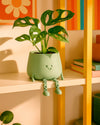 happy-pot-verde-pastel-contexto