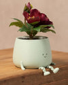 happy pot verde pastel flor