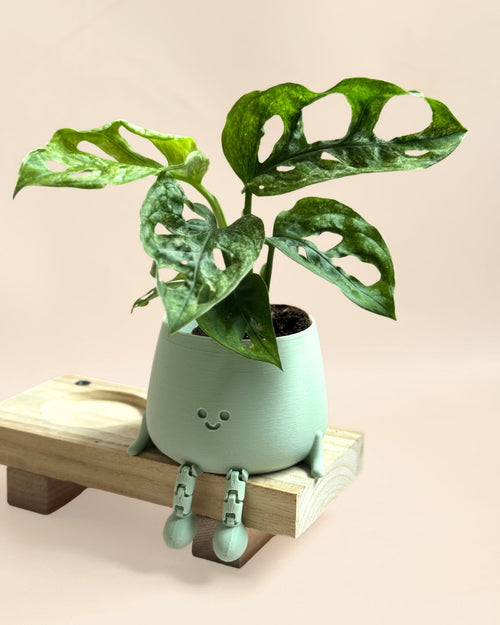 Mini Happy Pot Verde Pastel – 6 cm