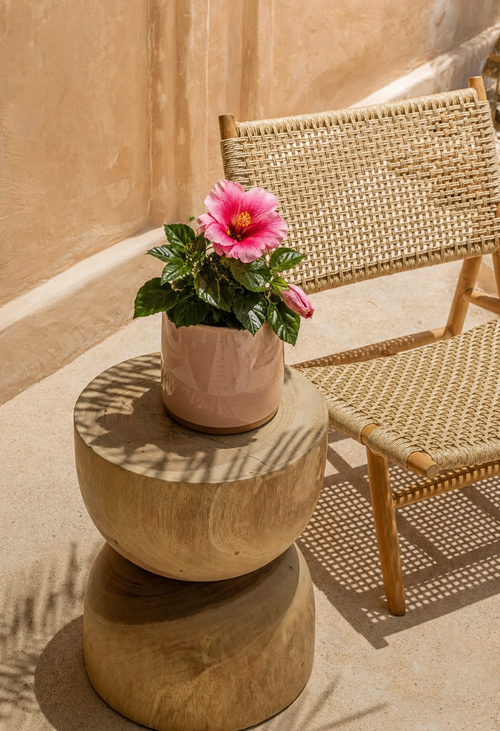 hibiscus-flor-mix-mini-context