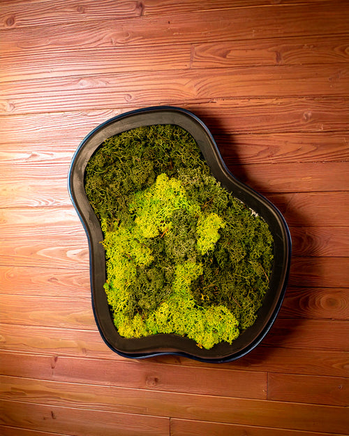 Jardín Vertical Nube