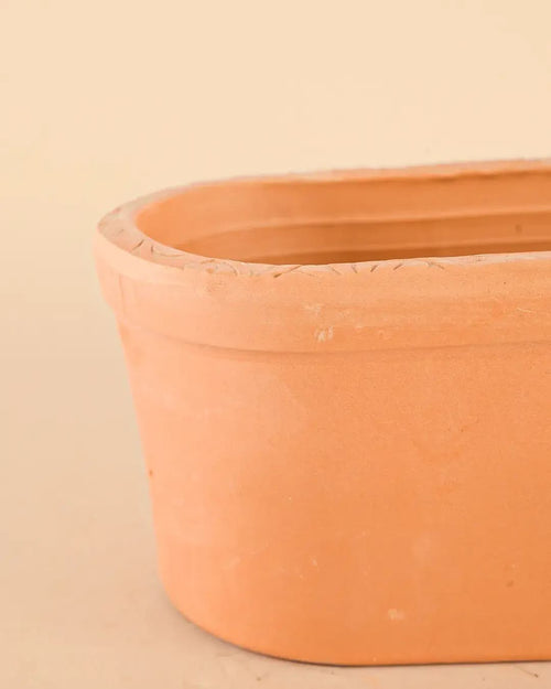 Jardinera Terracota - Pur Plant