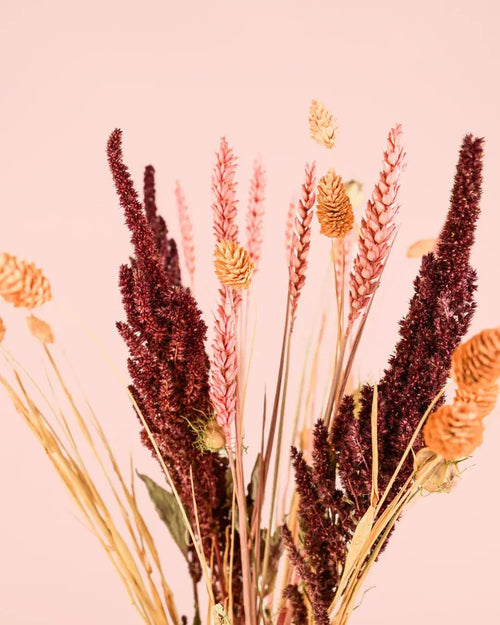 Jarrón Flores Secas Naturales – Namur - Pur Plant