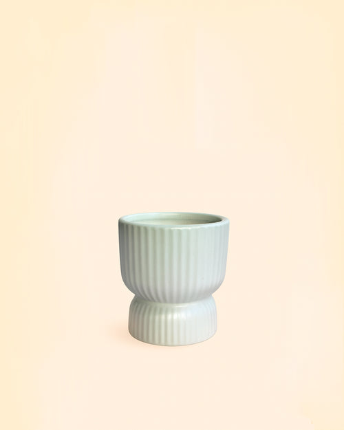jolie-mini-maceta-blanca