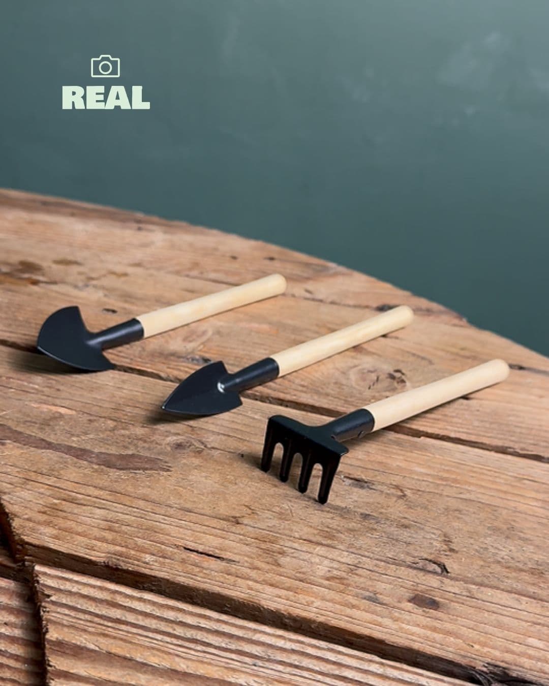 Kit Herramientas – Trasplante Mini Plantas y Terrarios - Pur Plant
