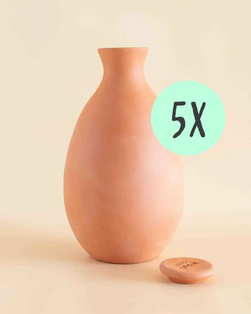 Kit 5x Ollas Autorriego Terracota 2L