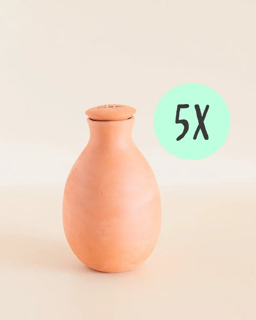 Kit 5x Ollas Autorriego Terracota 350 ml