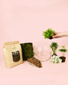 Kit Terrario Create – DIY L - Pur Plant