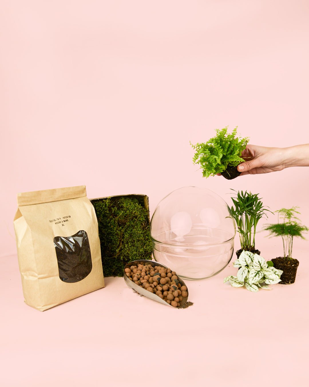 Kit Terrario Create – DIY L - Pur Plant